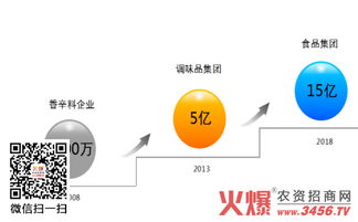 五年蝶變 鴻興源調(diào)味品從2000萬到6億的營銷策劃之路